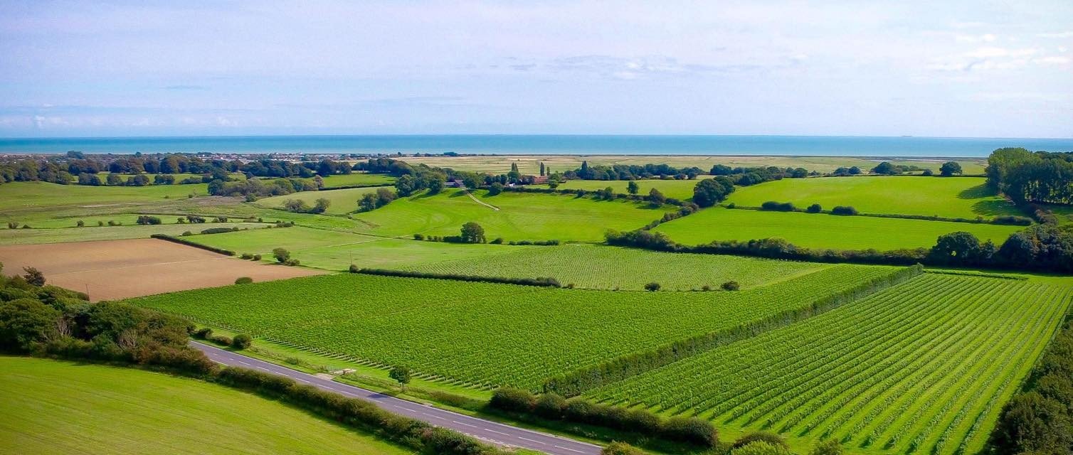 Charles Palmer Vineyards, Winery in Winchelsea