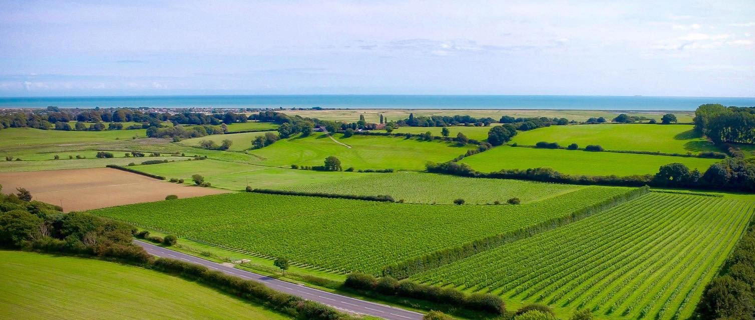 Charles Palmer Vineyards winery in Winchelsea