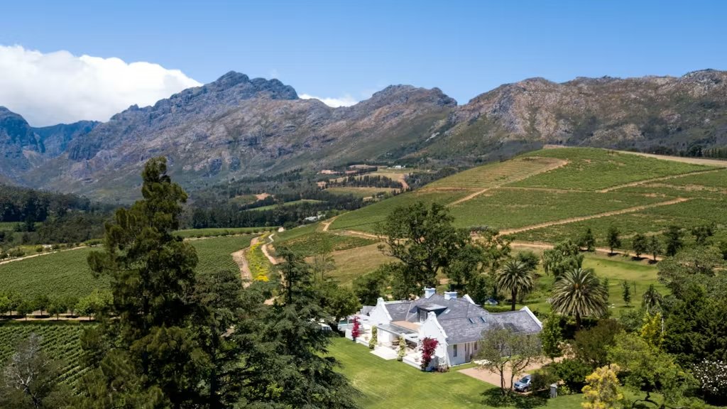Oldenburg Vineyards winery in Stellenbosch, South Africa