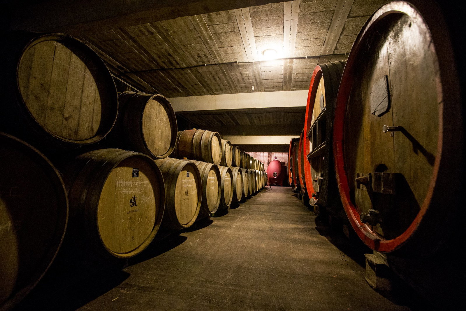 Domaine D’Aupilhac, Montpeyroux, France