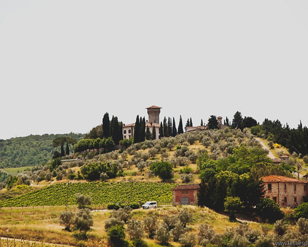 Castello Vicchiomaggio, Winery in Greve in Chianti