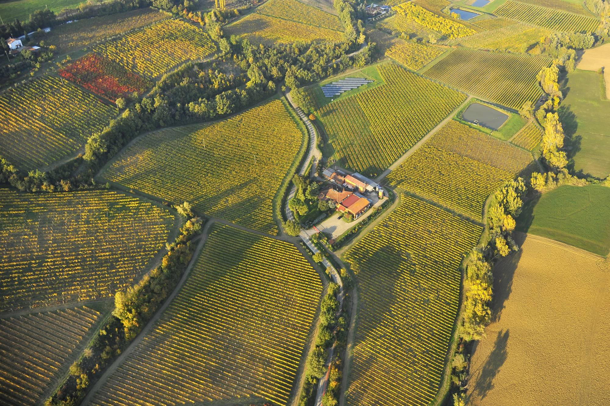 Tre Monti winery in Imola