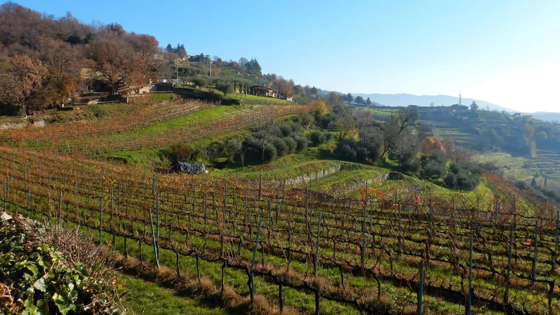 Nicola Gatta Metodo Classico winery in Gussago