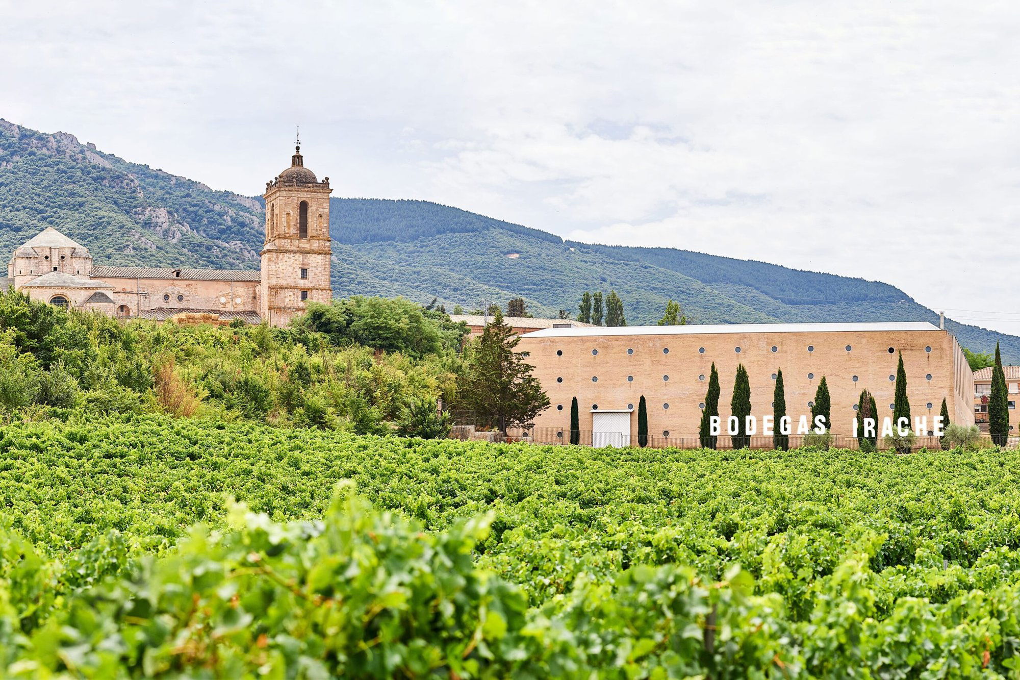 Bodegas de Viana Principe, Winery in Murchante