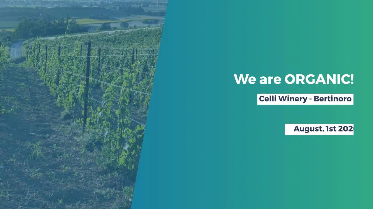 Celli winery in Bertinoro
