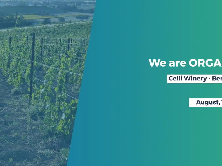 Celli, Bertinoro, Italy