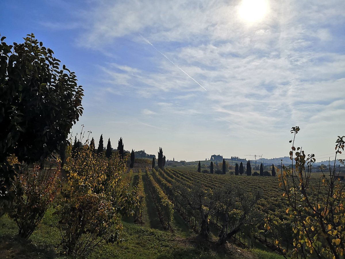 Brunelli, Winery in San Pietro In Cariano