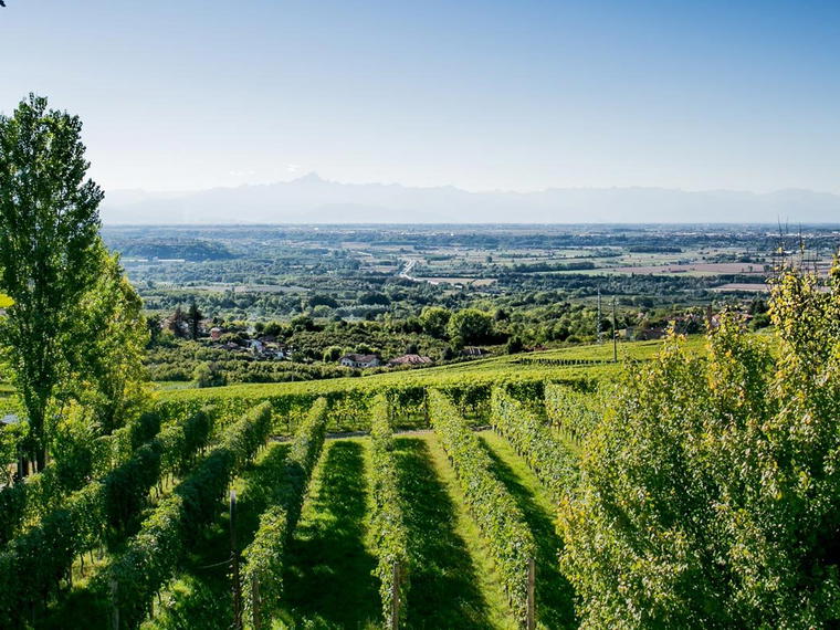 Bosio Family Estates, Santo Stefano Belbo, Italy