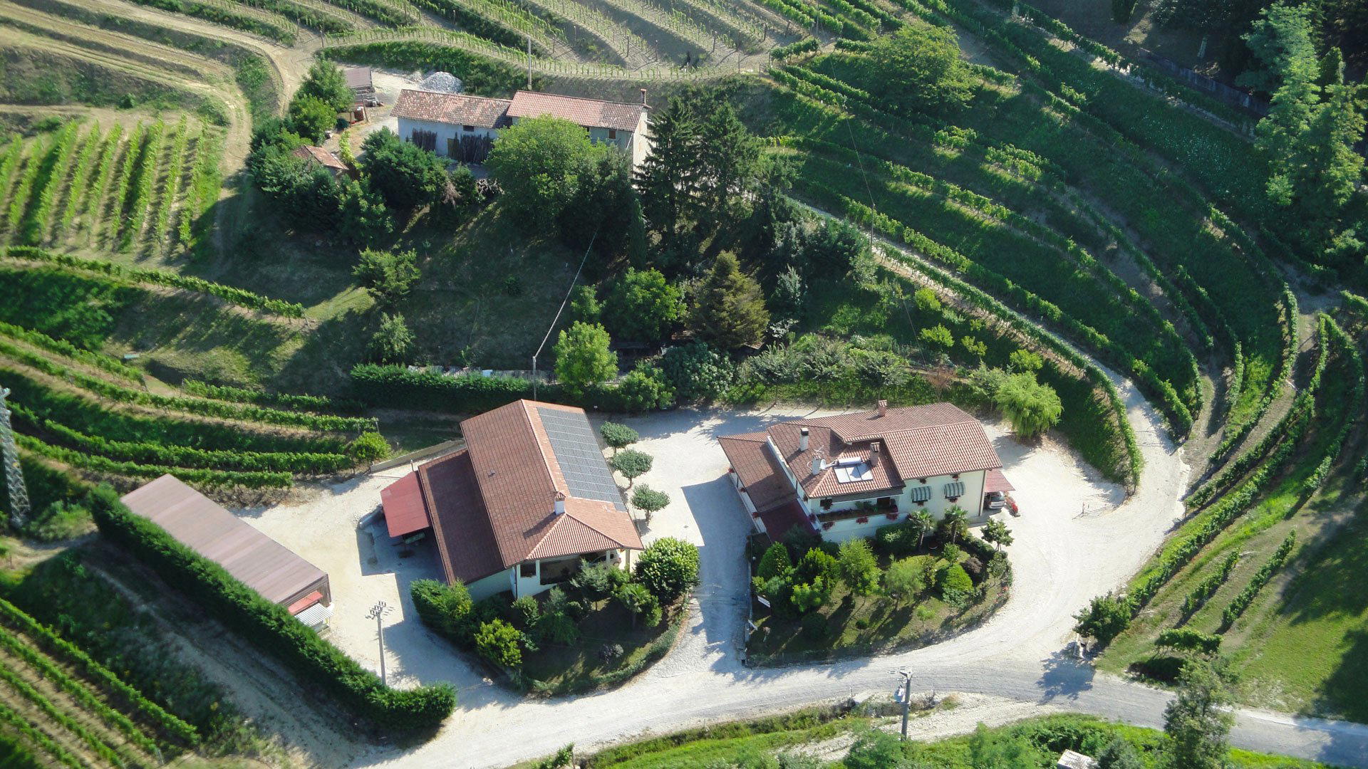 Ronc di Guglielmo winery in Cividale del Friuli