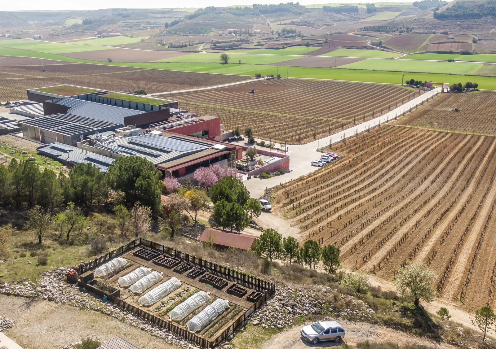 Bodegas Valdemonjas, Valladolid, Spain