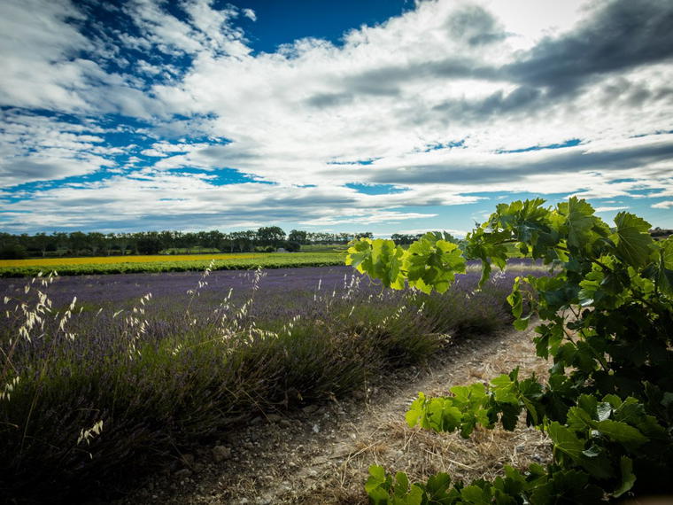 Les Collines du Bourdic, Bourdic, France