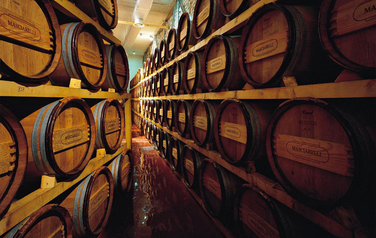 Masciarelli winery in San Martino Sulla Marrucina