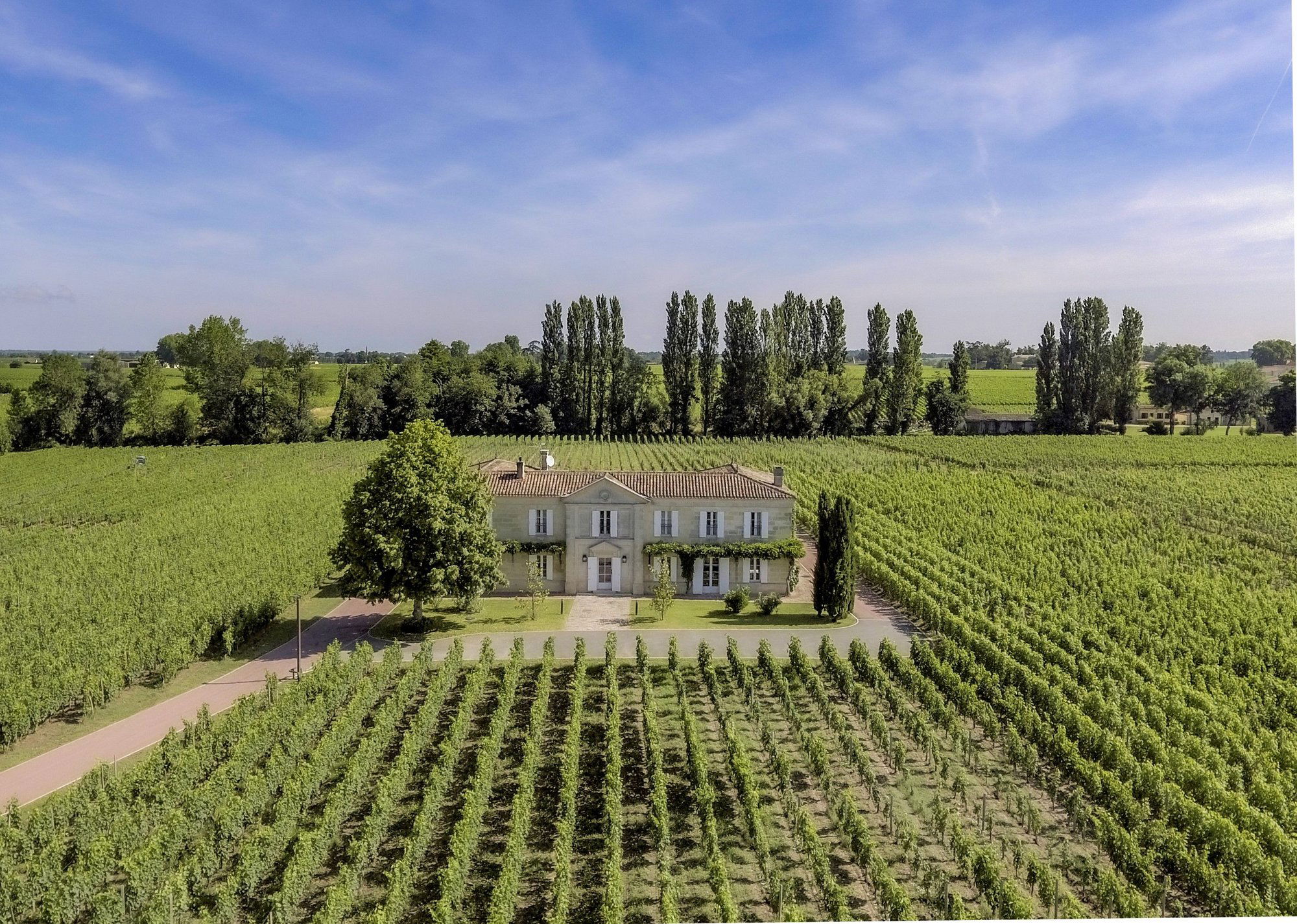 Château l'Etampe, Winery in Saint-Émilion