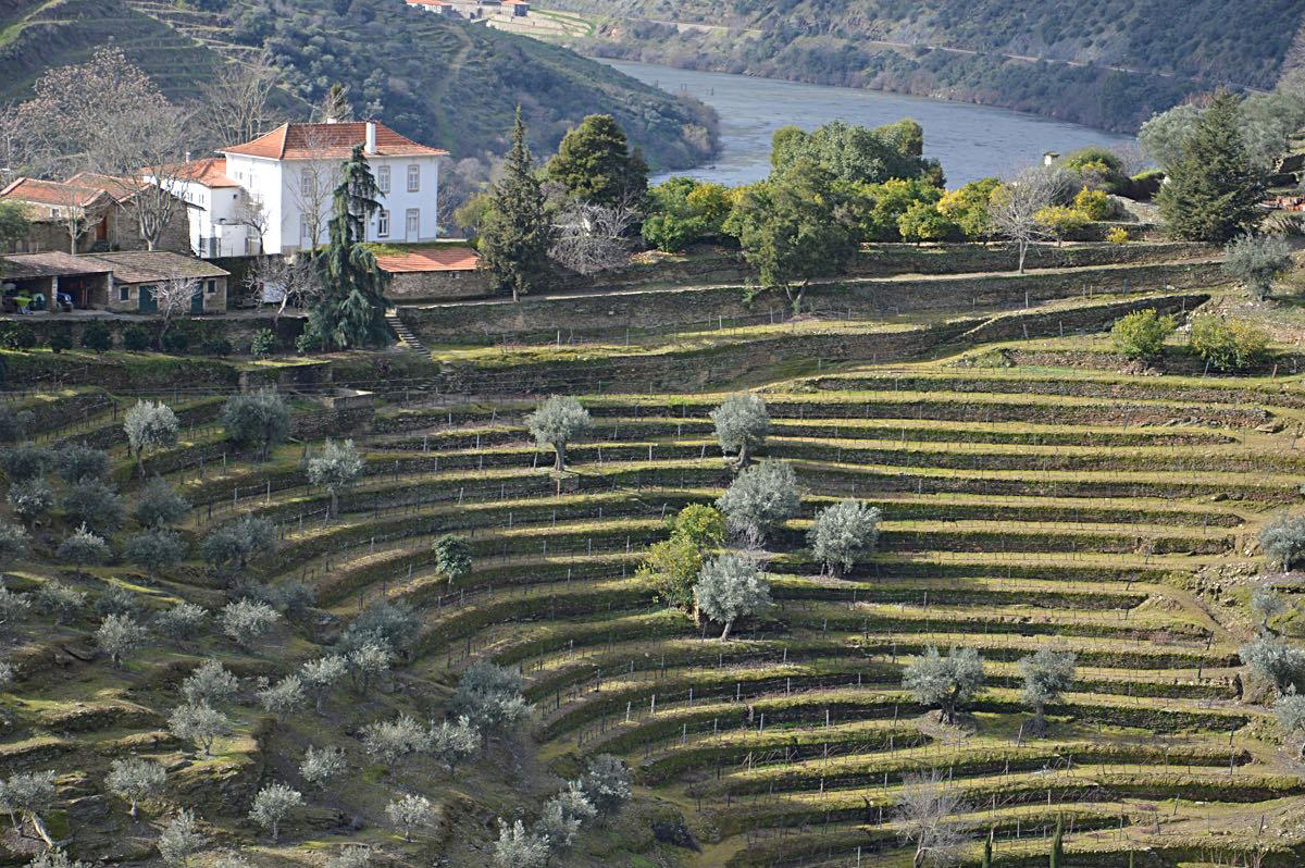 Prats & Symington winery in Quinta Da Roriz, Portugal
