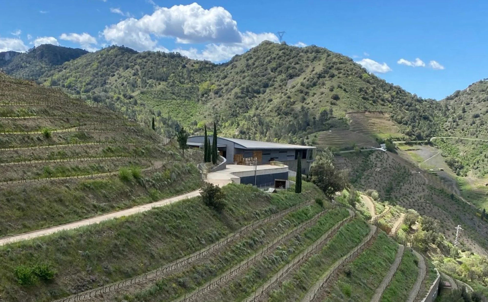 Ferrer - Bobet, Winery in Falset