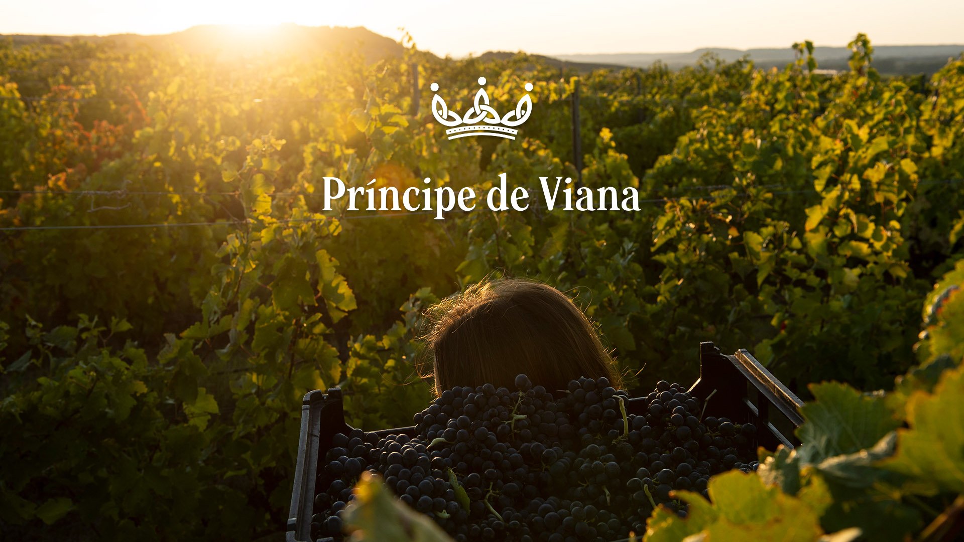 Bodegas Príncipe de Viana