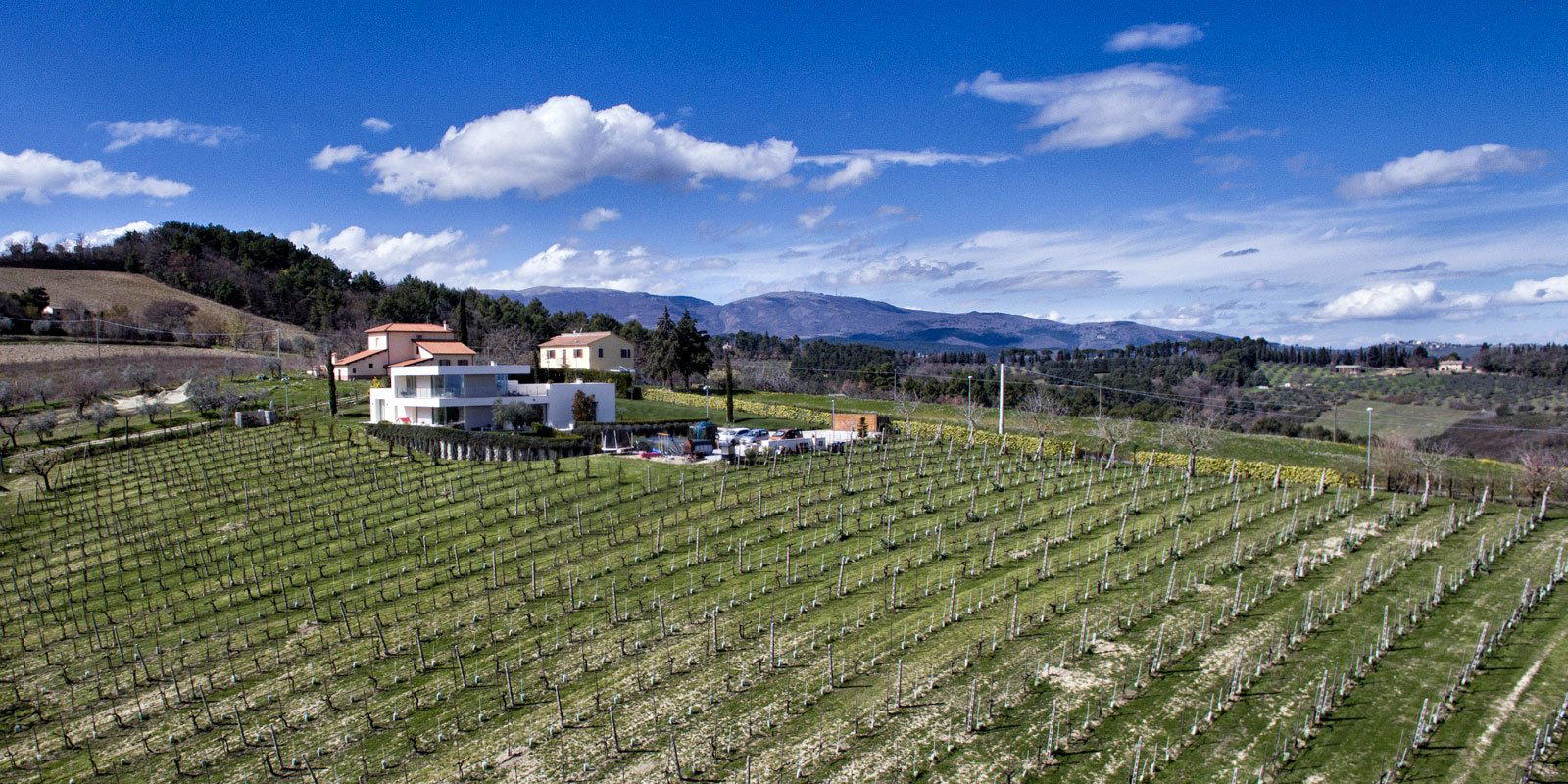 Cantina Ninni winery in Spoleto