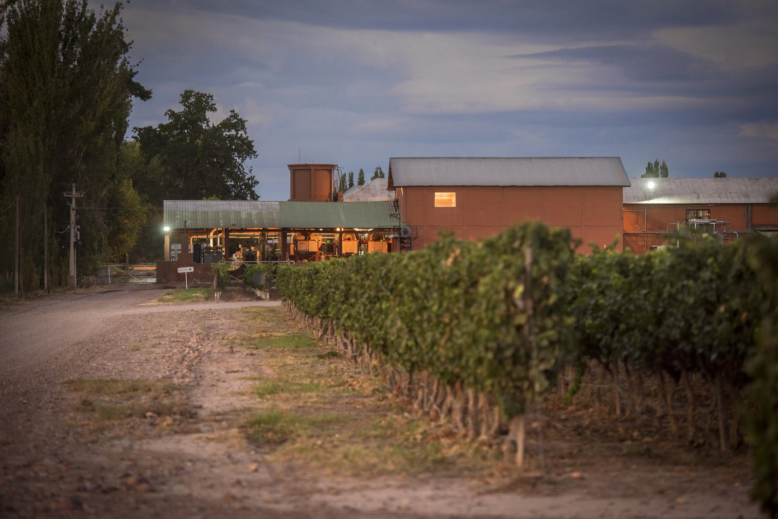 Bodegas y Viñedos Pascual Toso, Aer Mendoza, Argentina