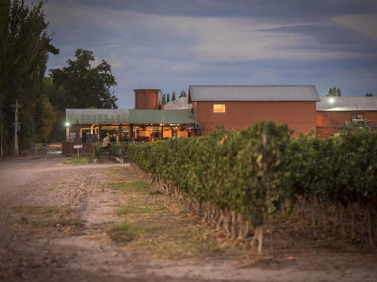Bodegas y Viñedos Pascual Toso, Aer Mendoza, Argentina