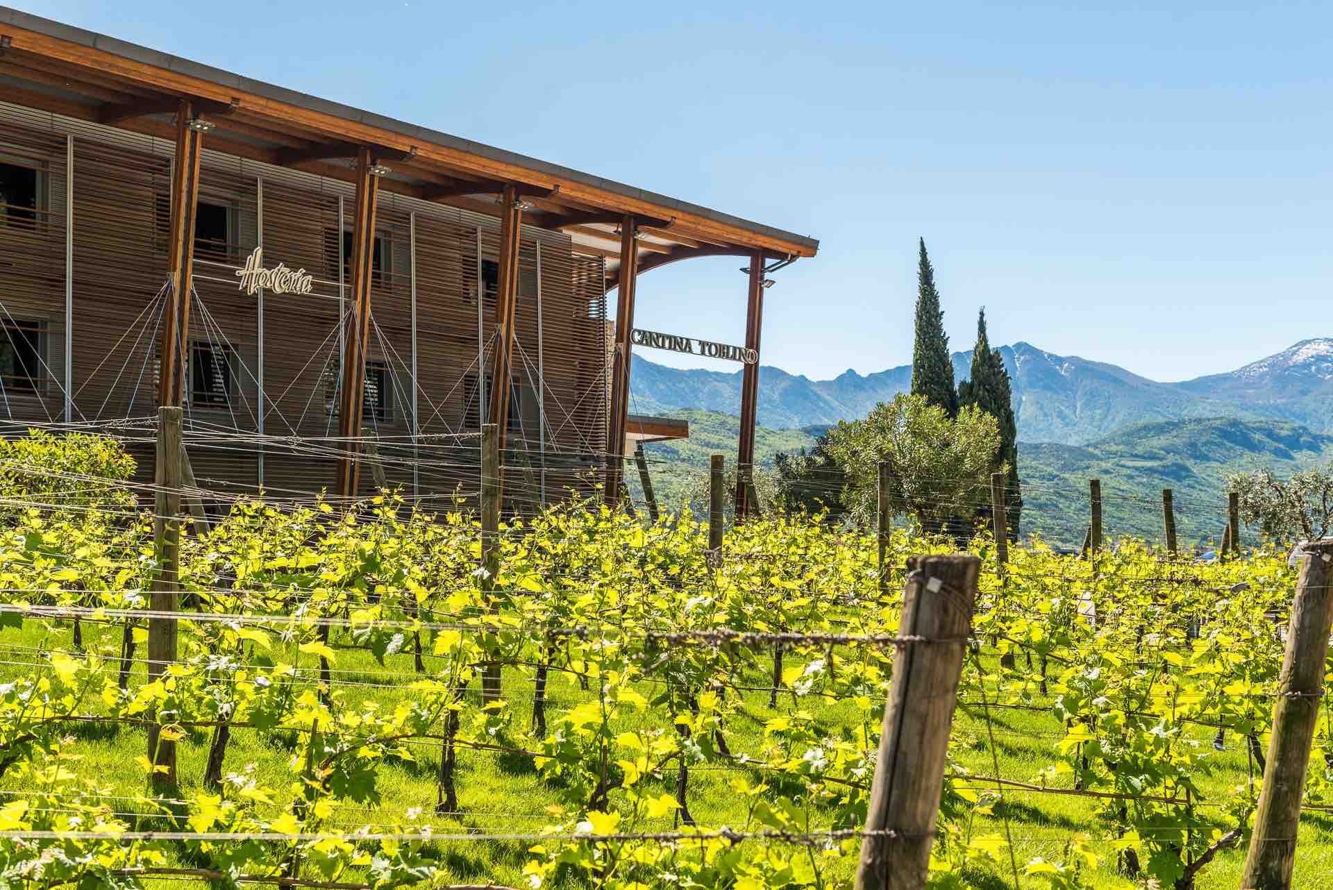 Cantina Toblino, Winery in Madruzzo