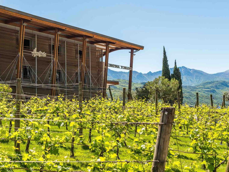 Cantina Toblino, Madruzzo, Italy