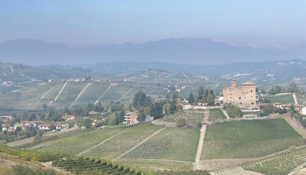 Alario Claudio winery in Diano D Alba