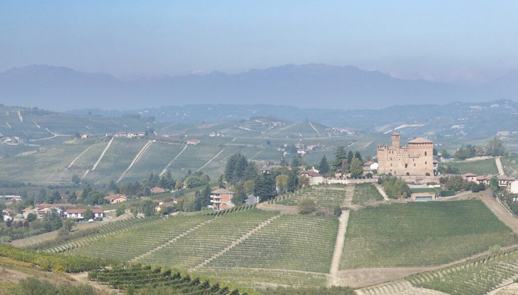 Alario Claudio, Winery in Diano D Alba