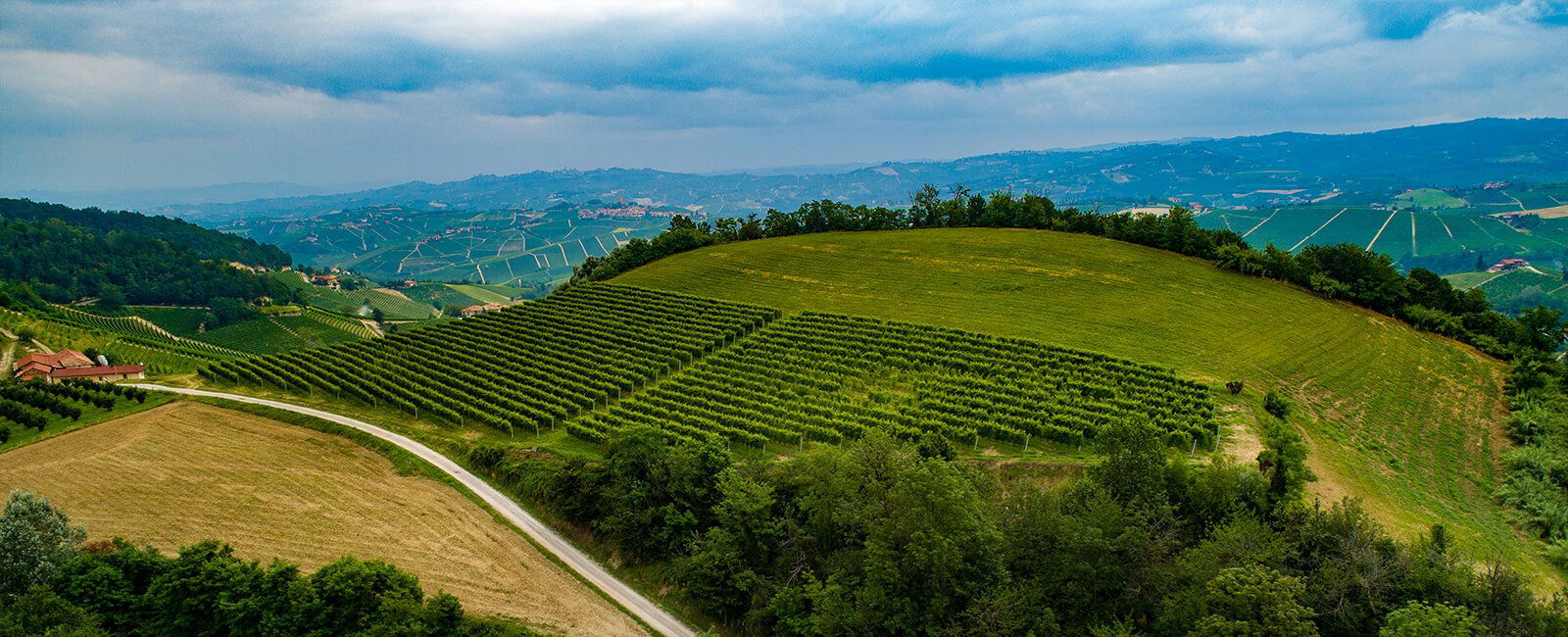 Cascina Chicco, Winery in Canale