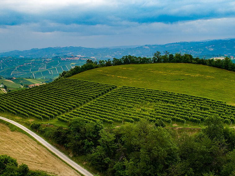 Cascina Chicco, Canale, Italy