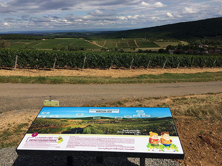 Domaine Fichet, Igé, France