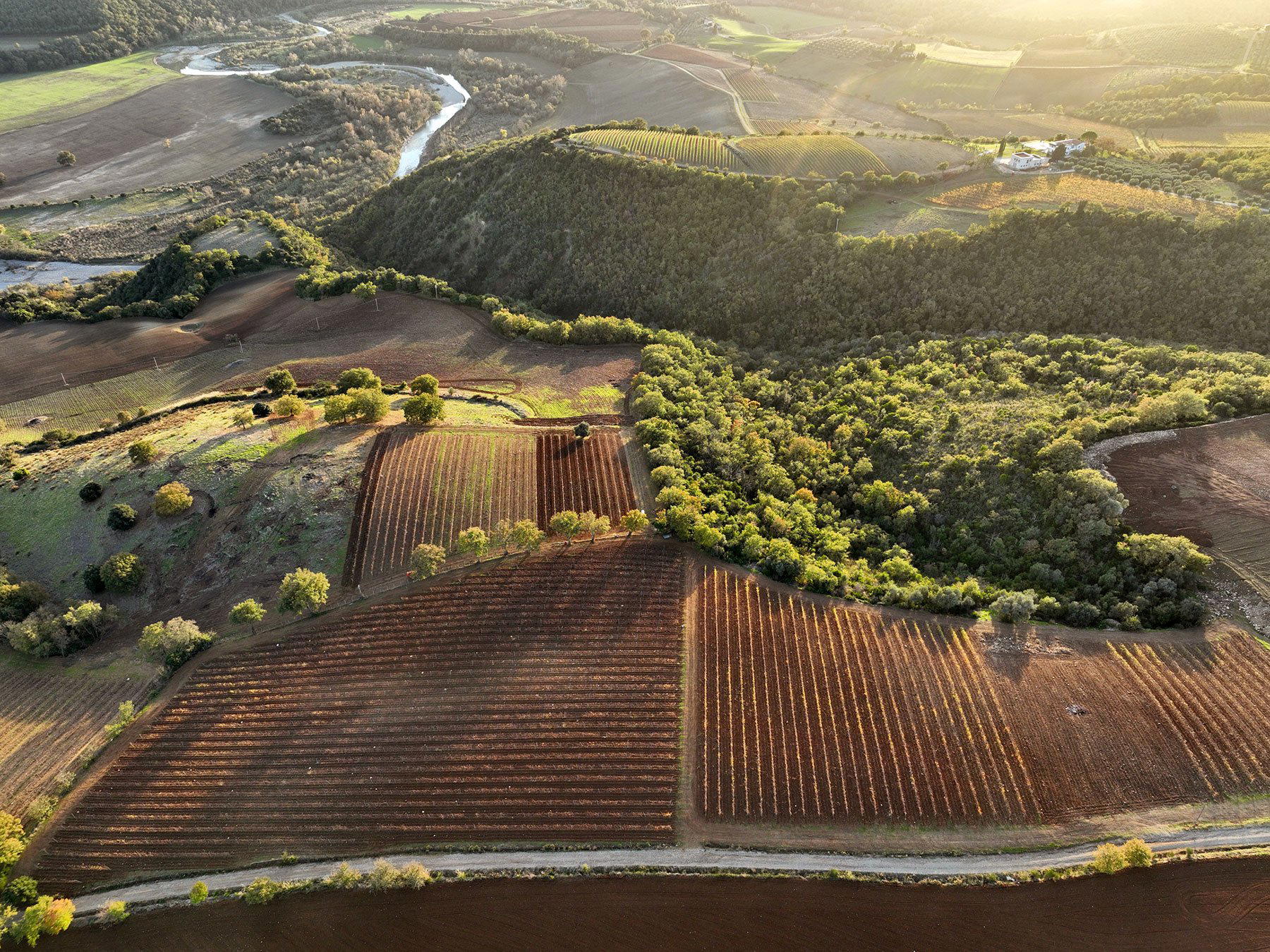 Tenuta Ghiaccio Forte winery in Montalcino, Italy