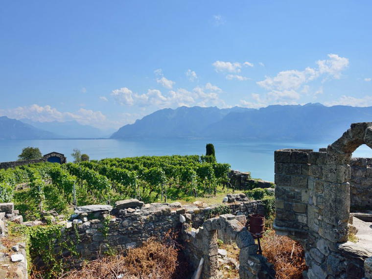 Les Fils Rogivue, Chexbres, Switzerland
