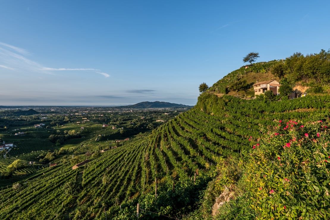 Col Vetoraz, Valdobbiadene, Italy