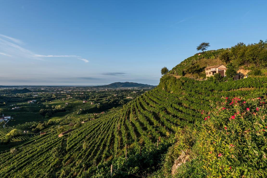 Col Vetoraz, Valdobbiadene, Italy