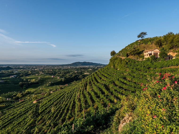 Col Vetoraz, Valdobbiadene, Italy