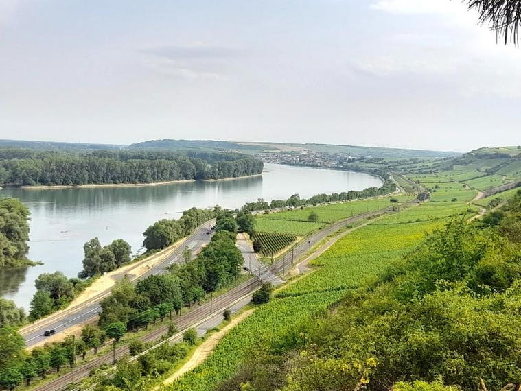 AdamsWein, Ingelheim Am Rhein, Germany