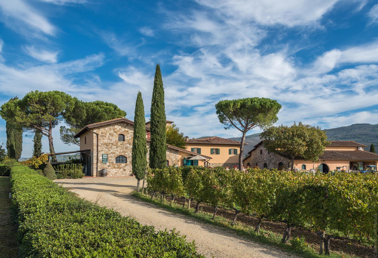 Viticcio winery in Greve in Chianti, Italy
