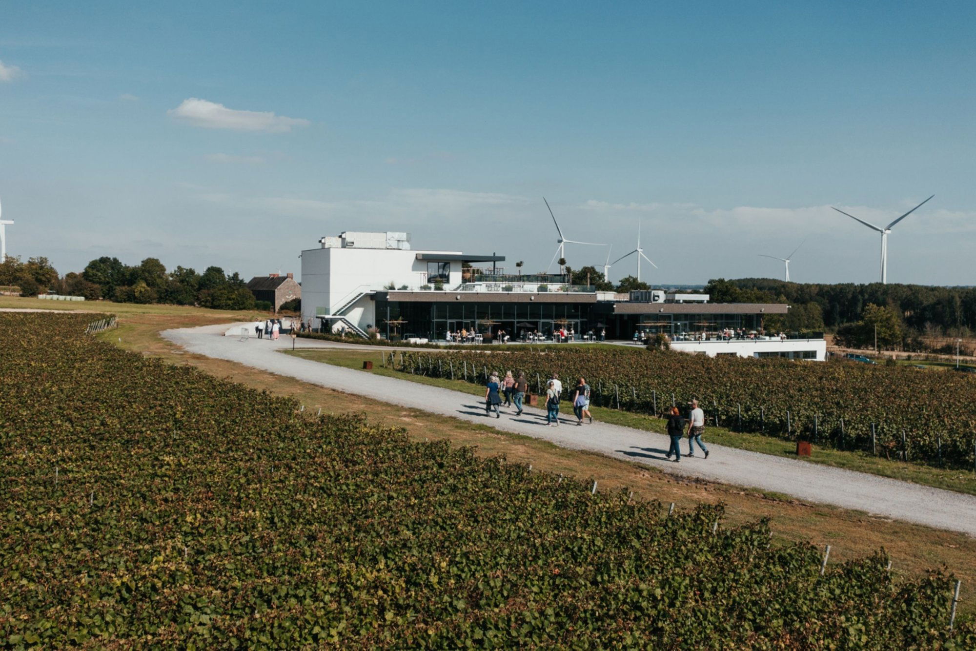 Domaine du Chant d'Èole, Winery in Quévy