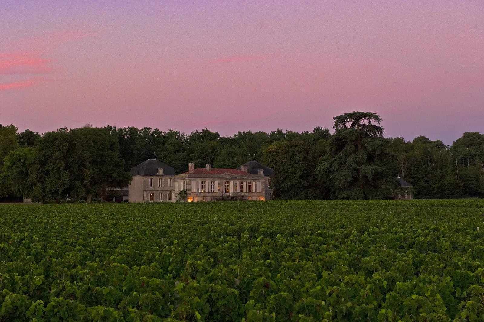 Château Picque Caillou, Mérignac, France