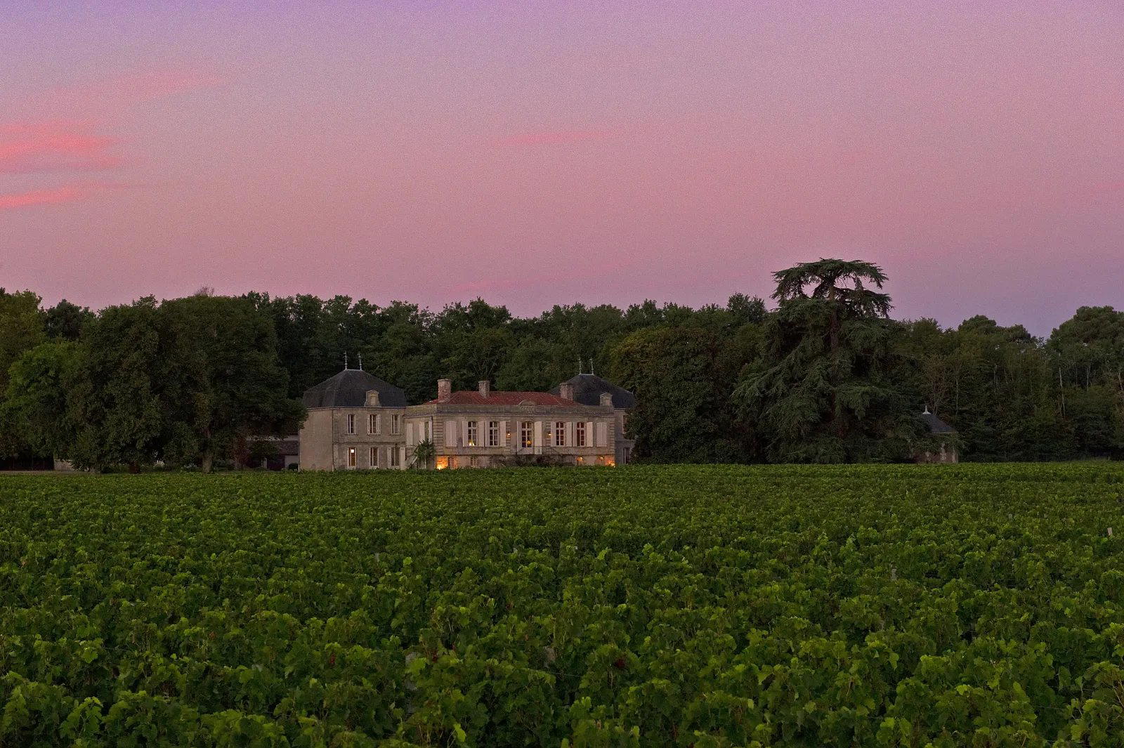 Château Picque Caillou winery in Mérignac, France