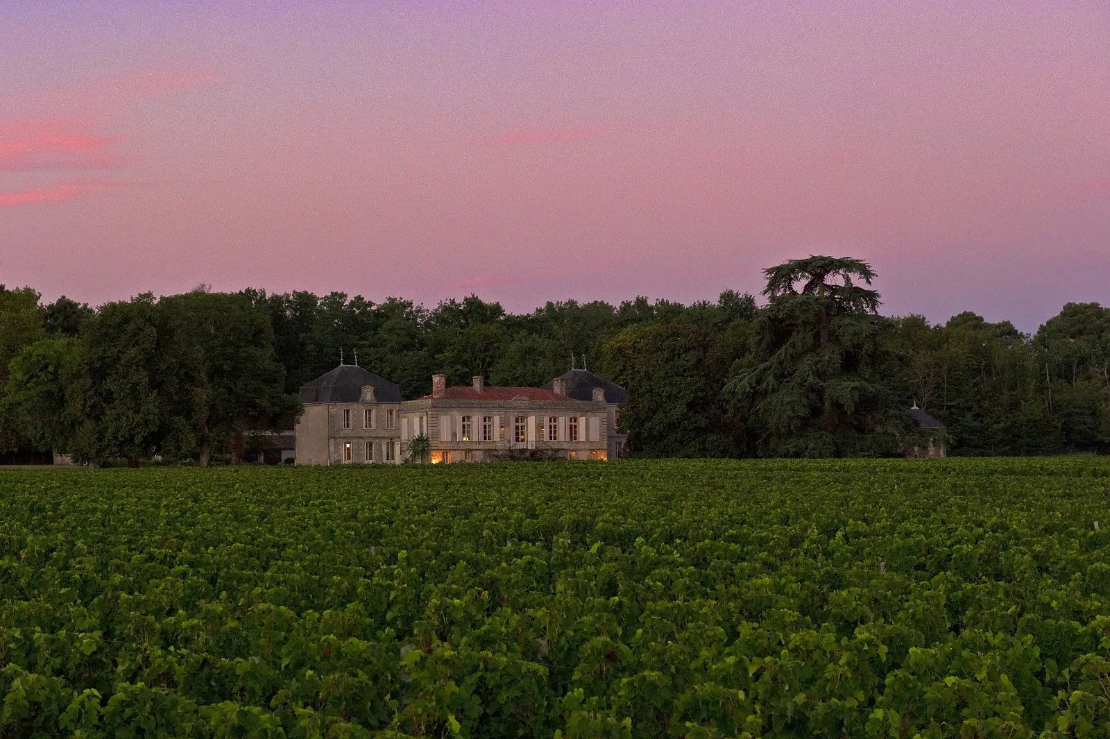 Château Picque Caillou, Winery in Mérignac