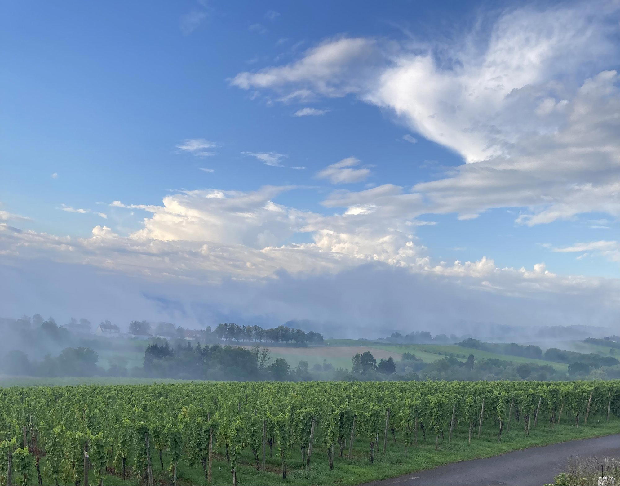 Domaine Mathis Bastian winery in Remich
