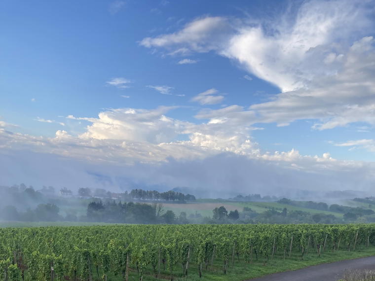 Domaine Mathis Bastian, Remich, Luxembourg