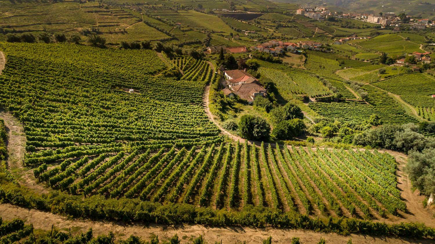 Rola Wines winery in Peso da Régua