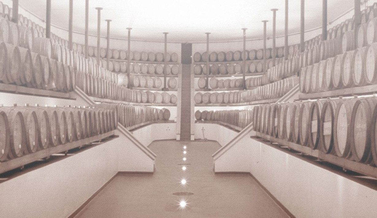 Castello Luigi - Zanini, Winery in Besazio
