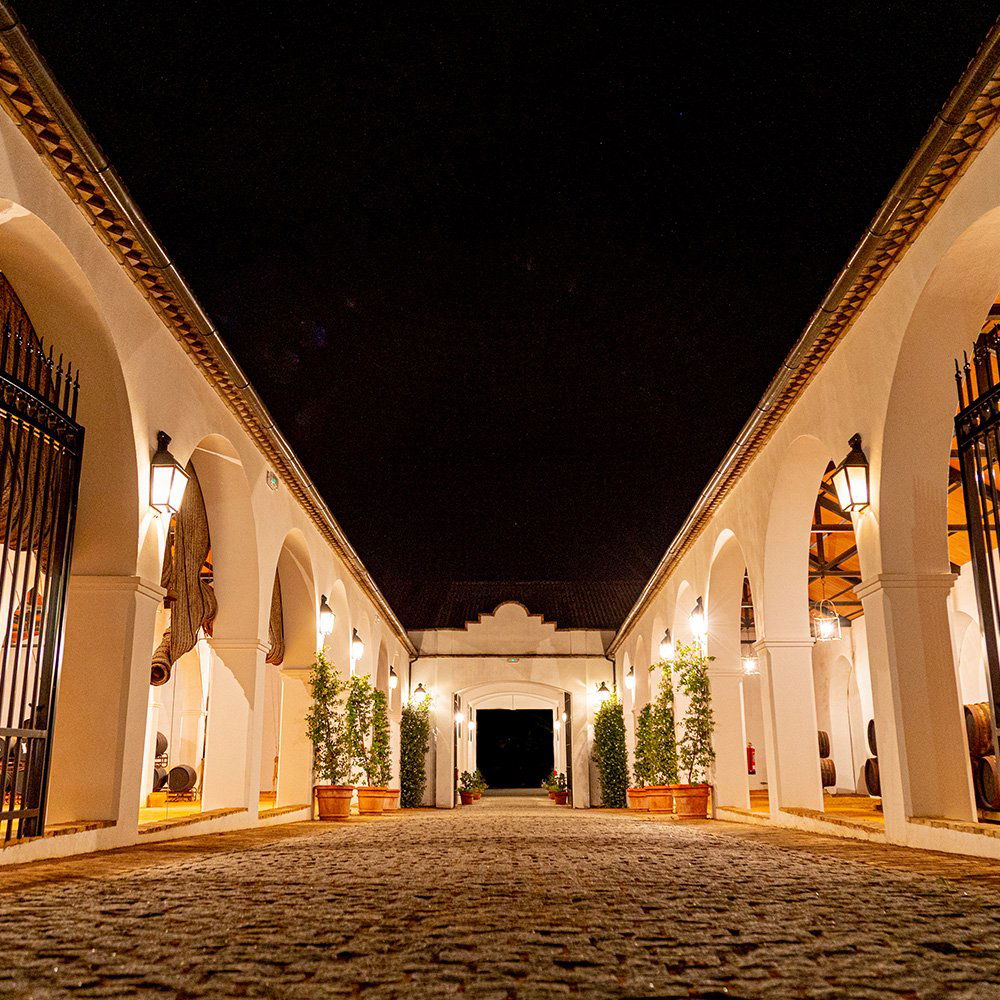 Alvear, Winery in Montilla