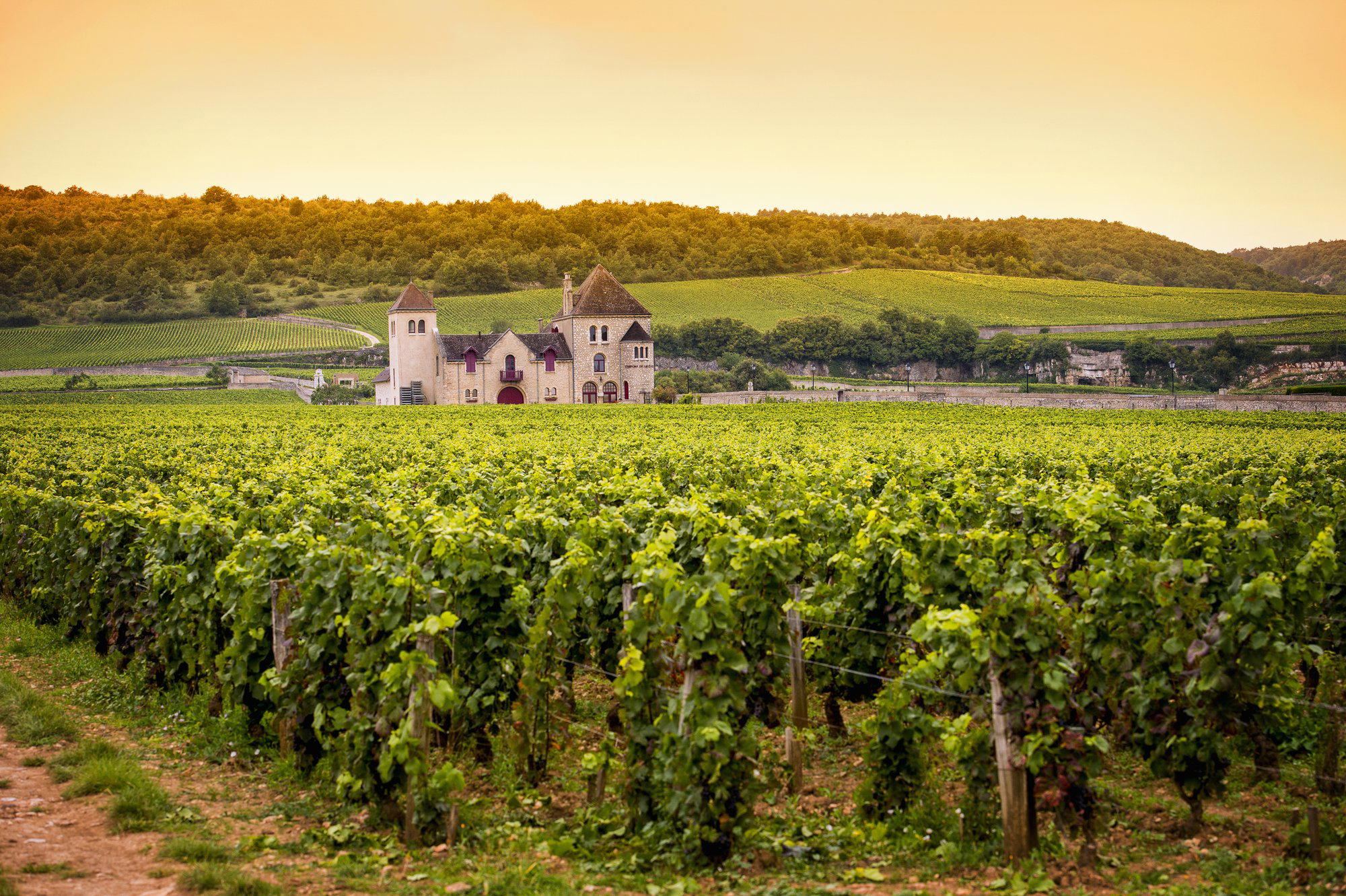 Domaine Couly-Dutheil winery in Chinon