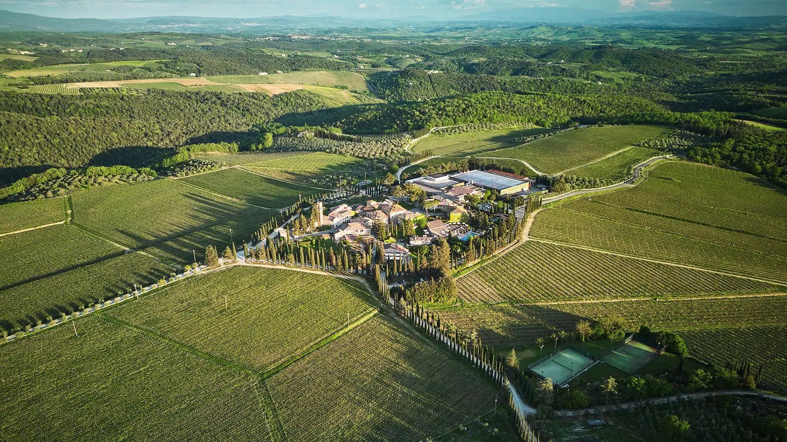 Bell'Aja, Winery in Castelnuovo Berardegna