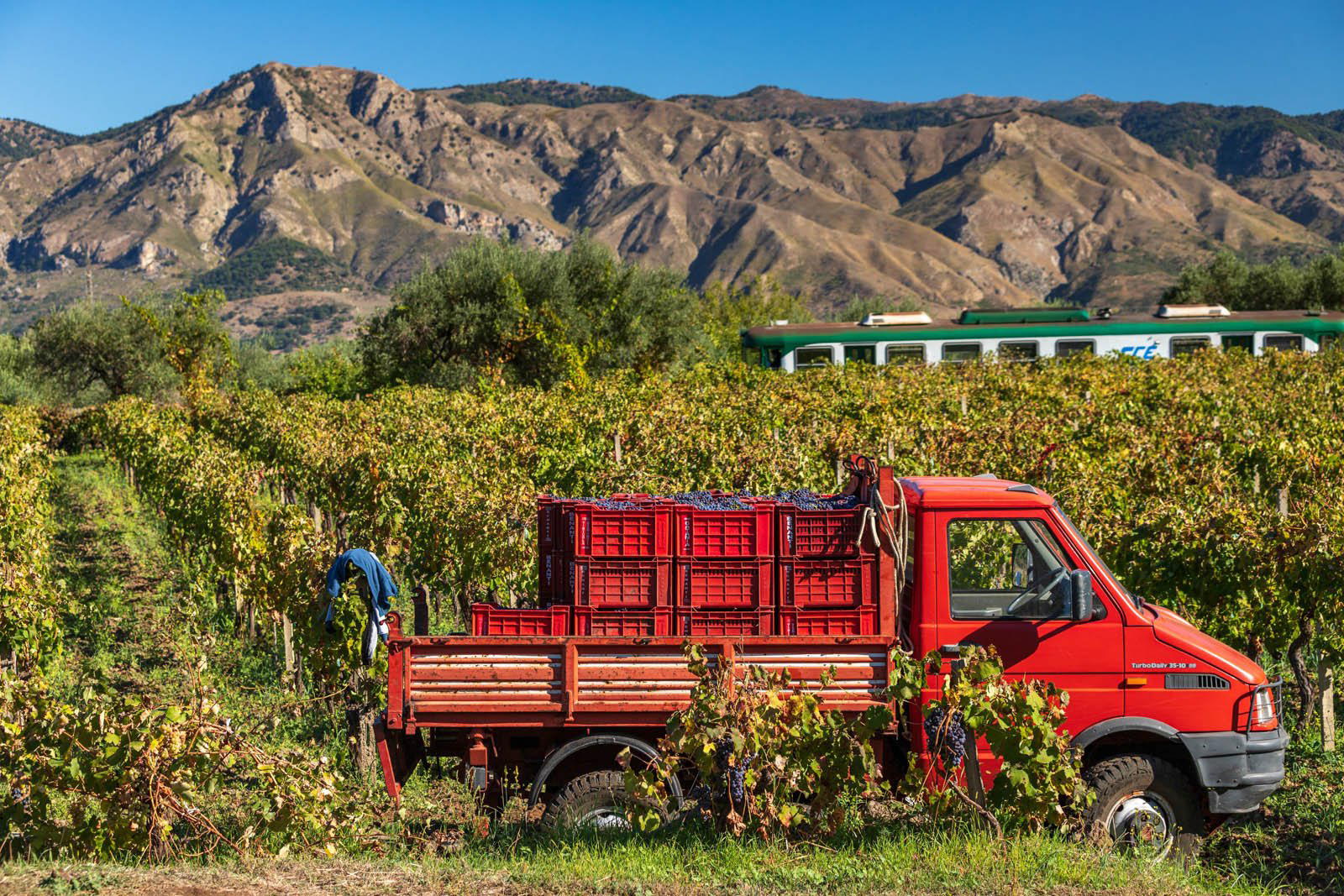 Azienda Agricola Cenetae winery in Vittorio Veneto