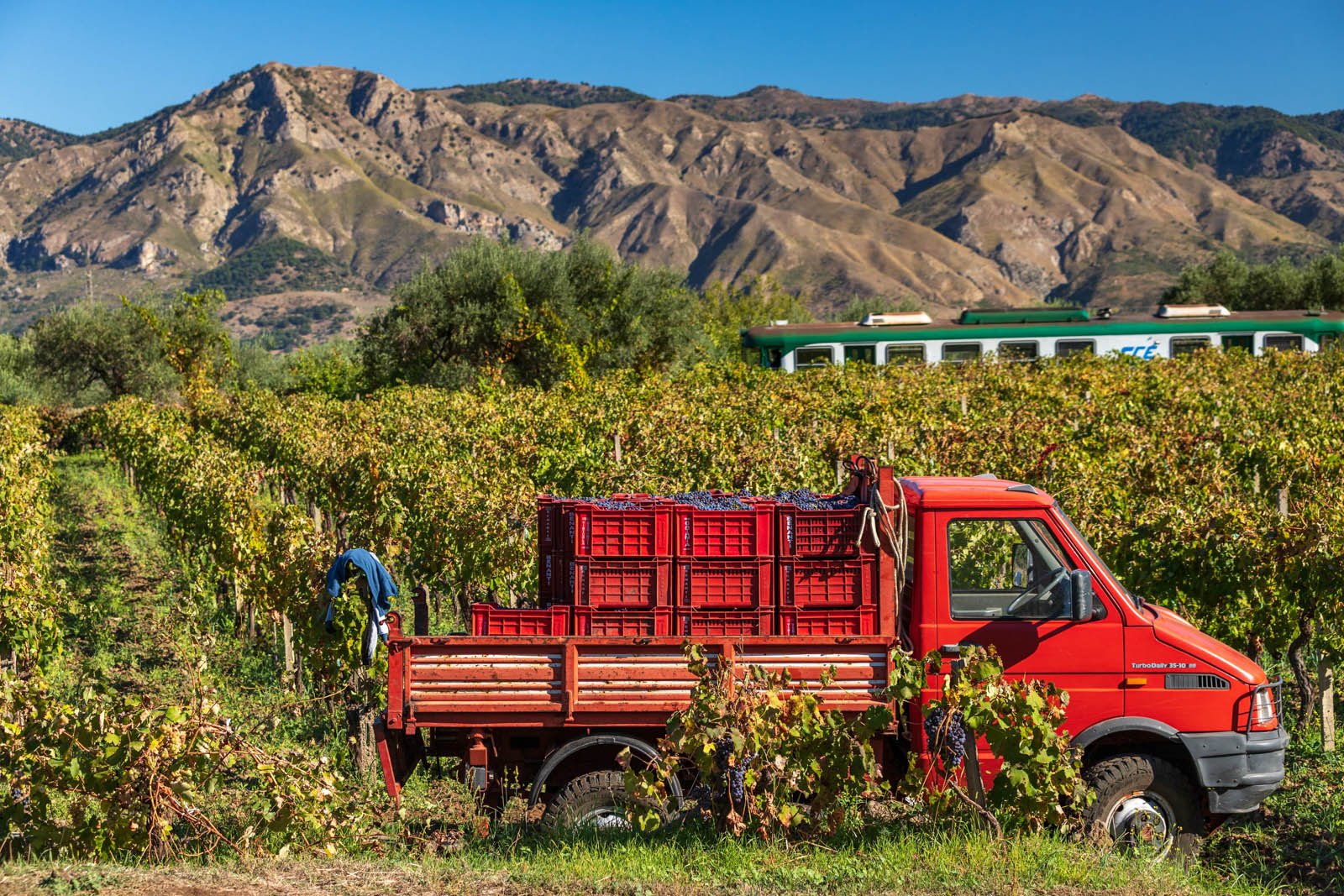 Azienda Agricola Cenetae, Winery in Vittorio Veneto